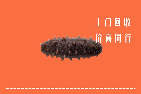 高价求购：鹿城区回收海参