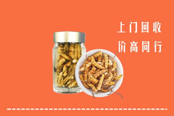收购行情：鹿城区回收冬虫夏草