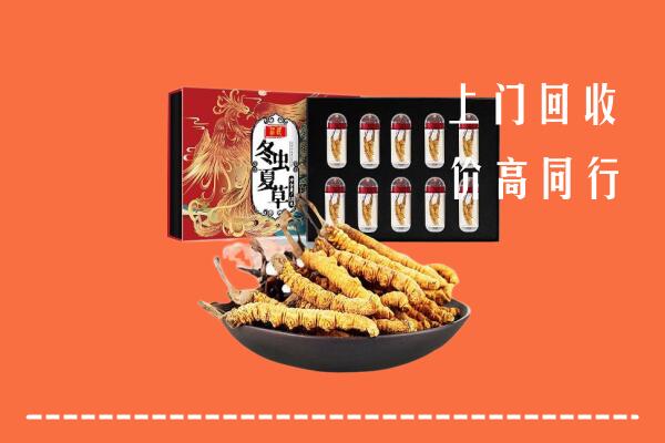 收购行情：鹿城区回收虫草